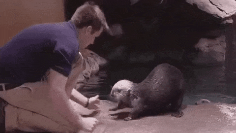 image.gif.6ebdebf0898290e81c504eb34a8472bb.gif