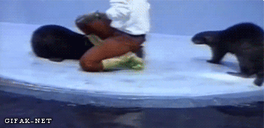 image.gif.964a5676ac1685b6b718e40e158f039f.gif