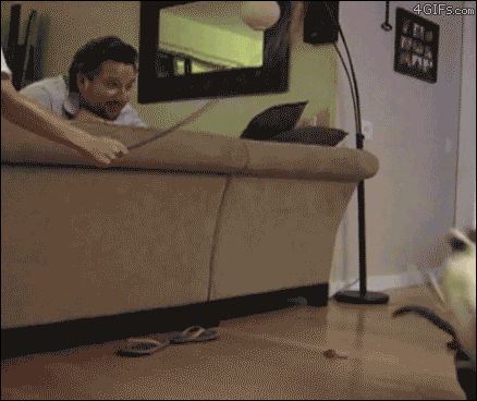 image.gif.abfb52fbcbfd3b944b02a3367bed7546.gif