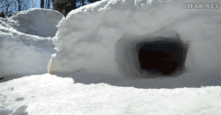 image.gif.bd95c4b2701281c1ee9bdf80ce39cd1a.gif