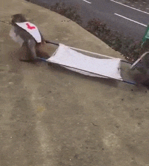 image.gif.c07a1e949013ebcfb6601decc89080de.gif