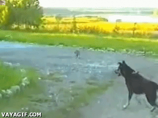 image.gif.c5e6848910cc2b5724001a05b2601a8e.gif