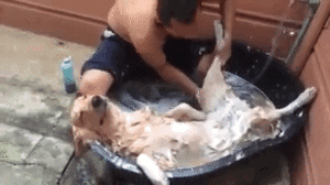 image.gif.d19aa6a18bd5fb7b13fca4d0264e66ad.gif
