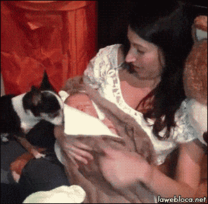 image.gif.ff36d58d679479d2ada6552759e4ac18.gif
