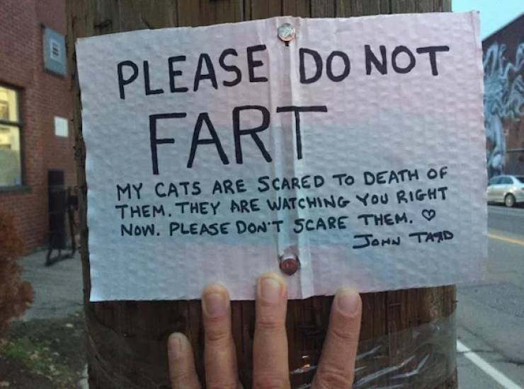 image.jpeg.30aea65d9229f7c2f4d671582f1430e0.jpeg