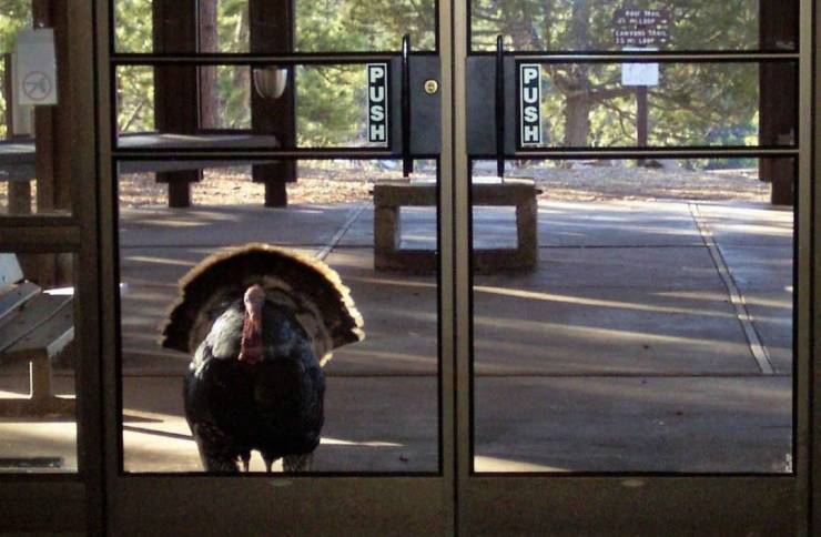 image.jpeg.319fb3917e9e0b95ef7c5b4fa8699cc2.jpeg
