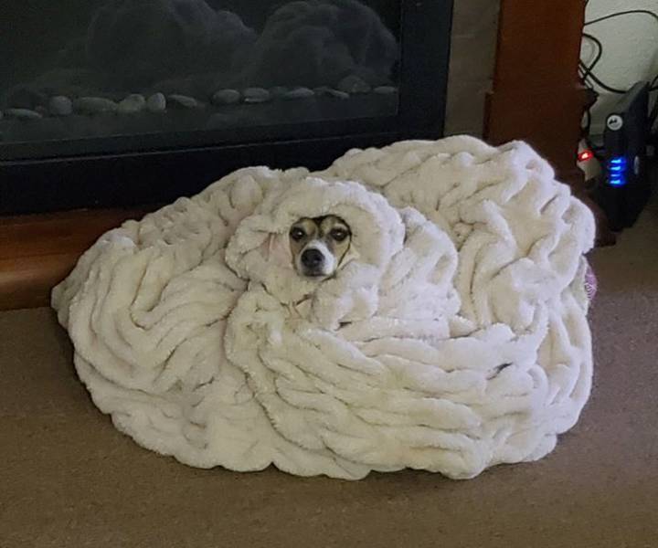 image.jpeg.5f78e8f4cfdd76306a8a2e991d5dd6e3.jpeg