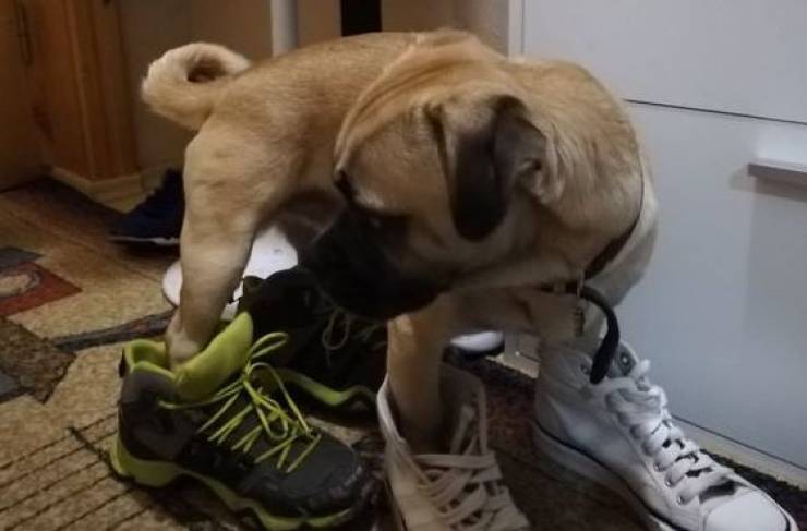 image.jpeg.69a2f19ae26223ab5fcb9bd6a9174a27.jpeg