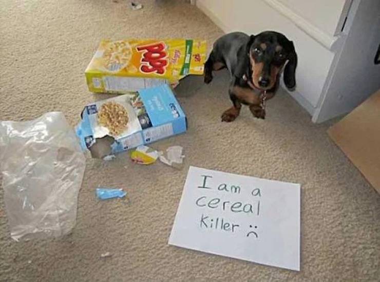 image.jpeg.6caa756f789db8a59a971fd2139de35a.jpeg