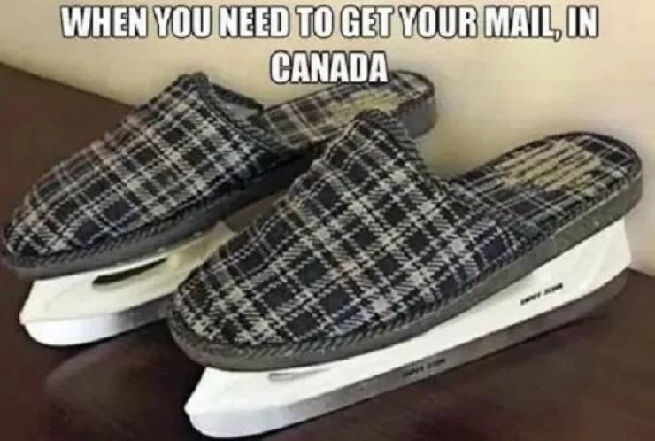 image.jpeg.743a32e2e8356cfbf428cf06a03bf3dc.jpeg