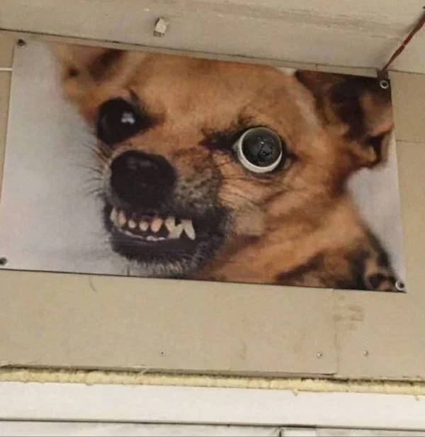 image.jpeg.addb536bc967470c1c6ccbfa5a31c68e.jpeg