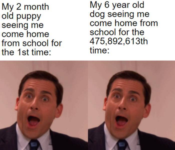 image.jpeg.c0c0a305b5776635a2d80a6dbe023ecb.jpeg