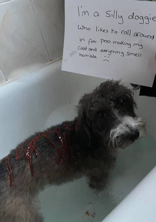 image.thumb.jpeg.0769c458294769532c0d0d213fdd6bc3.jpeg