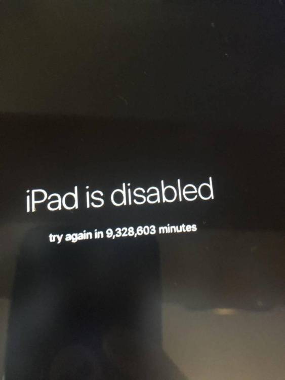 image.thumb.jpeg.0ae81b1563761e2d32a31a0cc5dac1d1.jpeg