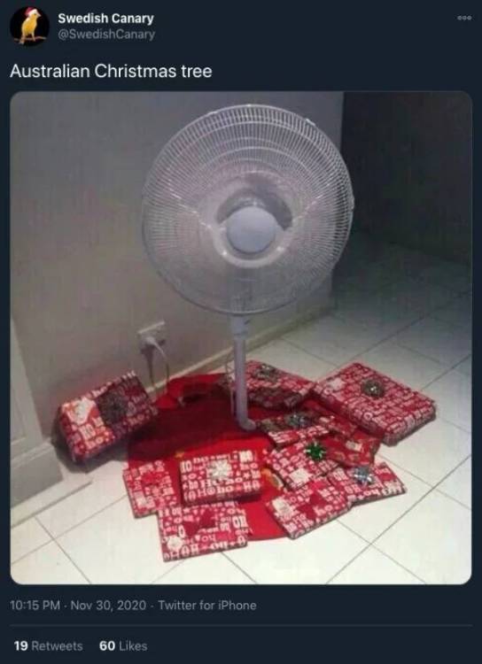 image.thumb.jpeg.1da6ae2c72088f3d9f3ff82c096f6a6d.jpeg