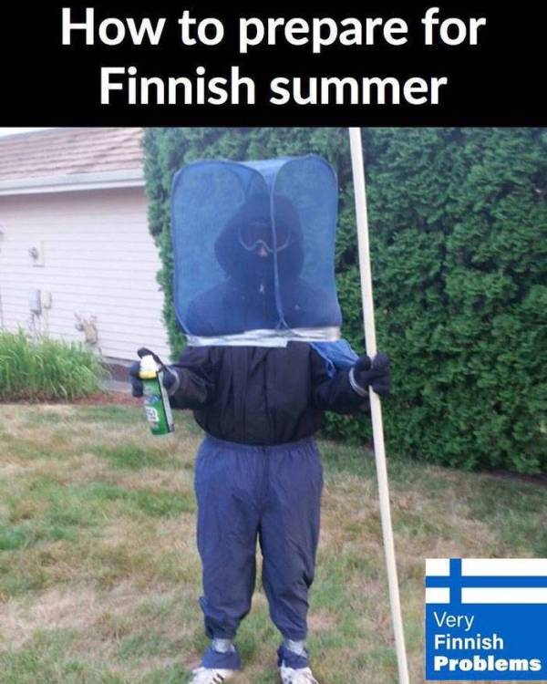 image.thumb.jpeg.2851f369f59acd5c0e294b0b8809440e.jpeg
