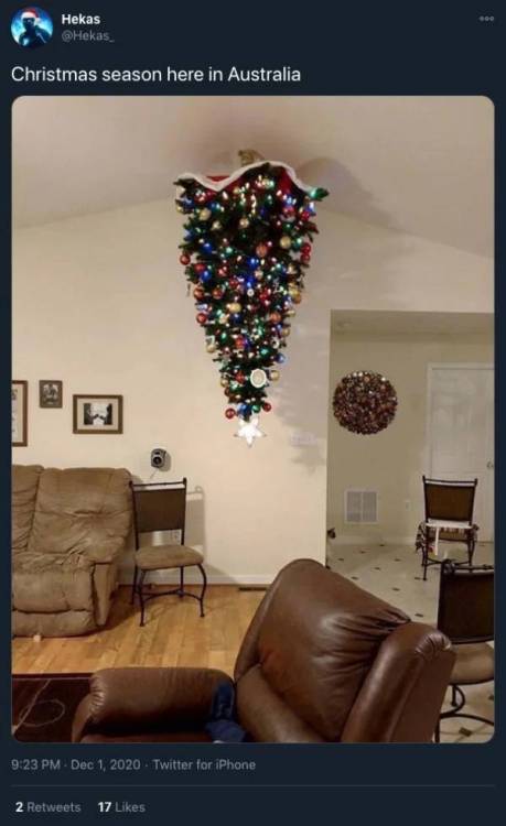image.thumb.jpeg.48c2a522e6feae1588cc30f050820d62.jpeg