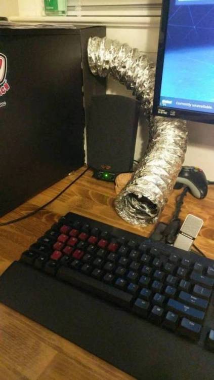 image.thumb.jpeg.4f1306a95cd8dc1bf1e8e4b75100568d.jpeg