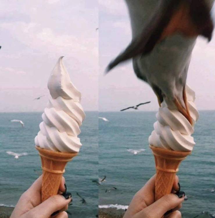 image.thumb.jpeg.72c525623b51bb854dd8b78d70c34c5a.jpeg