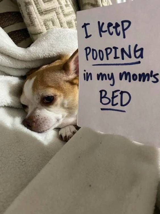 image.thumb.jpeg.74be847d11dd356afe89db6664f79e46.jpeg