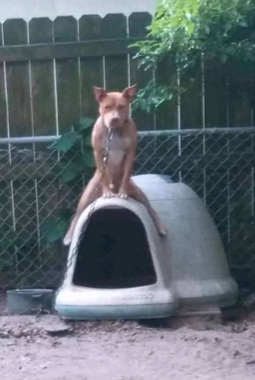 image.thumb.jpeg.ac7b3ad45788a2aa3f92f80c2ec63163.jpeg