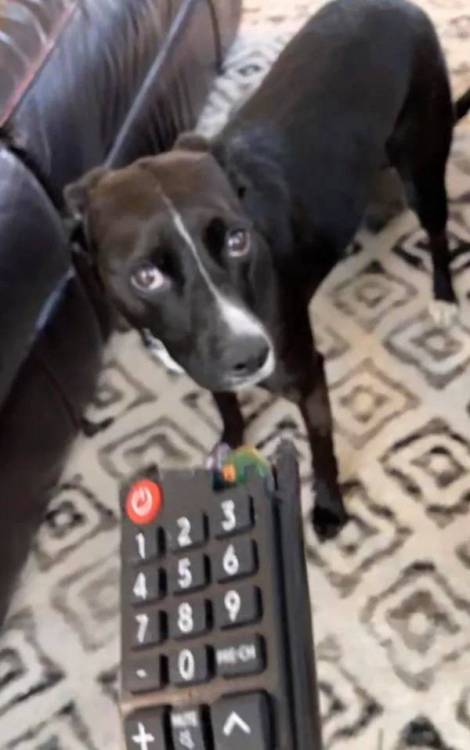 image.thumb.jpeg.b017c2d55069f4d42b078b999422ca57.jpeg