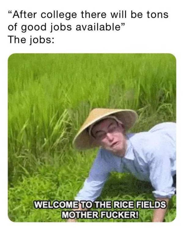 image.thumb.jpeg.b595f2fd81a7afd22197d2106dd86fba.jpeg