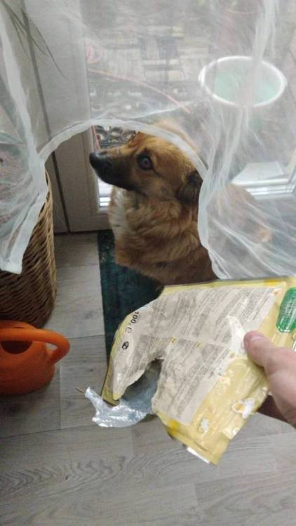 image.thumb.jpeg.de498a03233b5a41d36ec19aee7f4a81.jpeg
