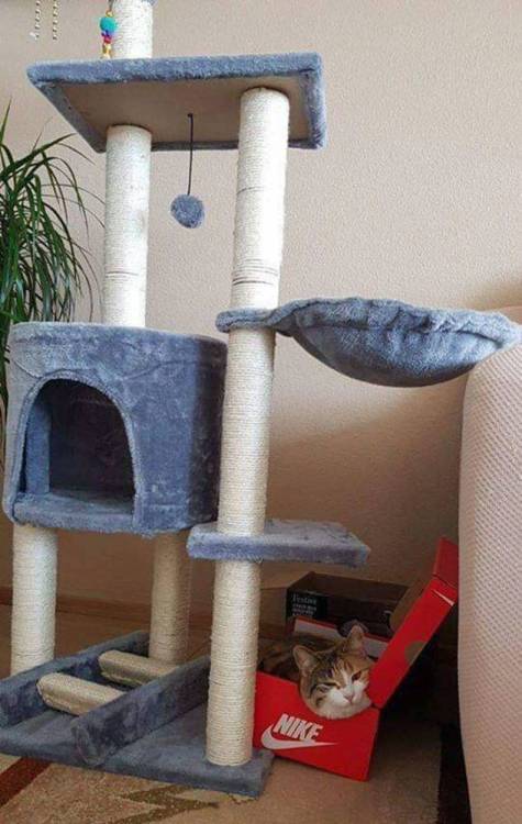image.thumb.jpeg.f42f5de2512e047907834173dc459f07.jpeg