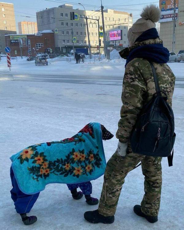 image.thumb.jpeg.f7df16edc85c99610f1f4465cc04a764.jpeg
