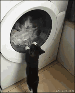 image.gif.09350a39d261b372e9f85bb510f7711a.gif