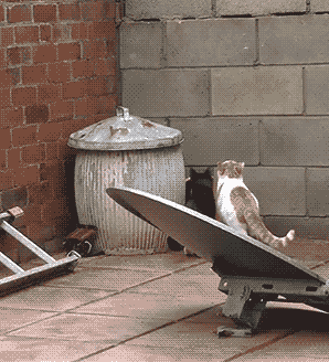 image.gif.2364594927f7326bd0b0a8a5c4650c35.gif