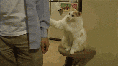 image.gif.28c5515712327204676ab238a17ebd72.gif