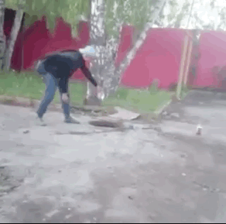 image.gif.49be556ceeea28a52c116cd20a923e0b.gif