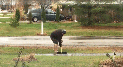 image.gif.6067d87a03621bd2974af21e515e3eff.gif