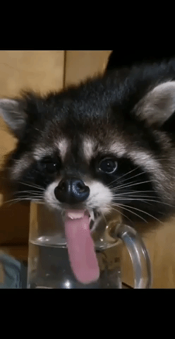 image.gif.68834079fafd6a40cb9d47c4777893c6.gif