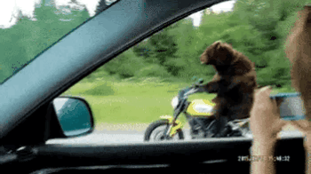 image.gif.69feb0e127b2b285d452ac193a9a6bbf.gif