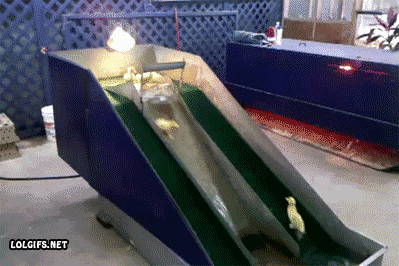 image.gif.7cbb13d22a08f82b4ed007838f6d9f5d.gif