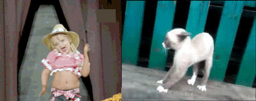 image.gif.7fade0dd52acba17e571a64195274291.gif