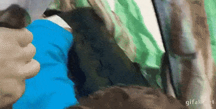 image.gif.a9e426e89e593699187e98c0236361ff.gif