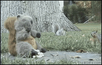 image.gif.c4ba667ad29d57917efbc7d28a9a9cd3.gif