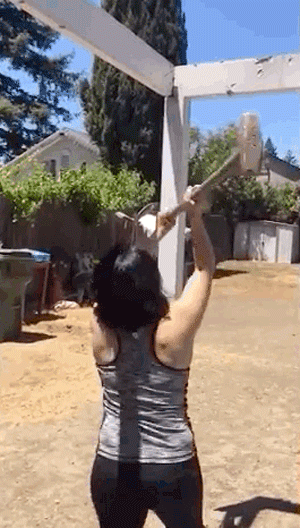 image.gif.d2544b47247131e6d9eb5dff8e576ad2.gif