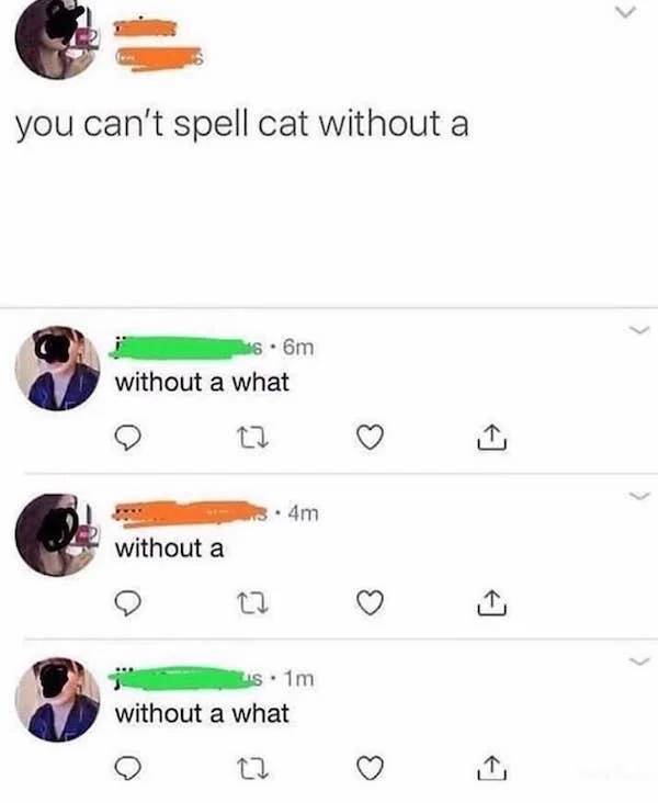 image.jpeg.10ab2f4e3d460820e490861e1e90a7d2.jpeg