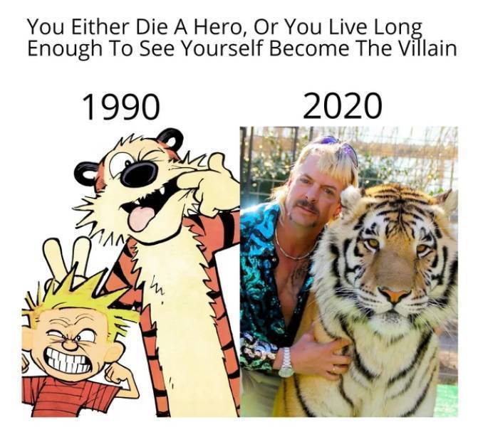 image.jpeg.10cf10b6f82529982cbc382149ee37dd.jpeg
