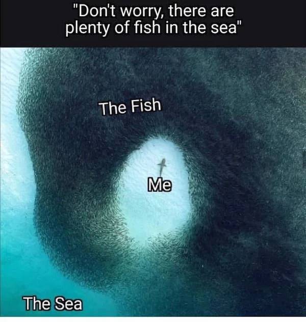 image.jpeg.205d2de0cadd53b557fe40925a31c818.jpeg