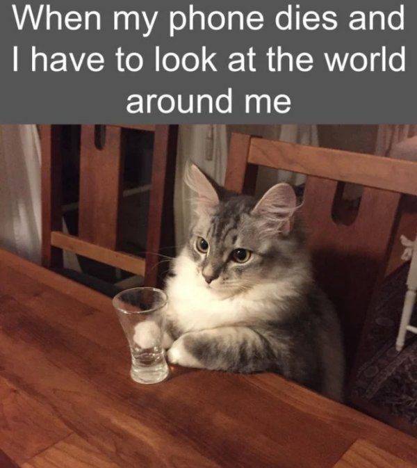 image.jpeg.3ba08f4247a35a1d3821a045bf149d05.jpeg