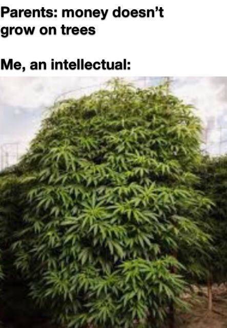 image.jpeg.4347b93c6807f727a8648554ba6ed528.jpeg