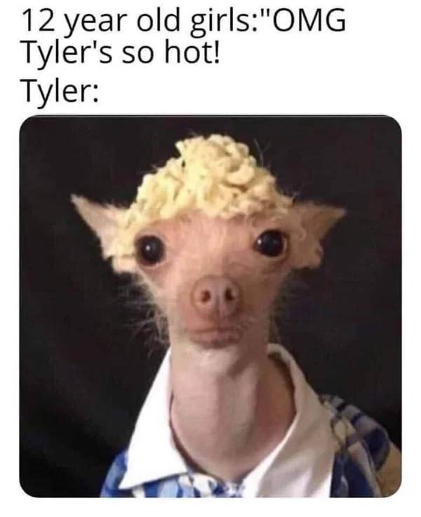 image.jpeg.5a3f09bc85348c83487d7d0f899494e4.jpeg