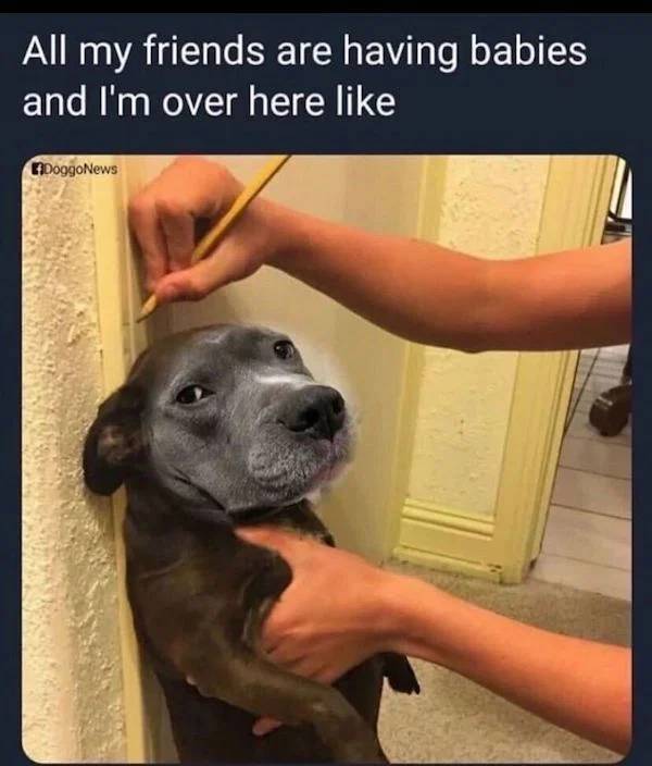 image.jpeg.8b3feb1b9ea23962e436e2f694d6e4d8.jpeg