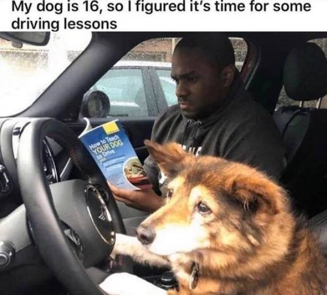 image.jpeg.a046bc7cb2d9d8fa43de3d12a14ff687.jpeg